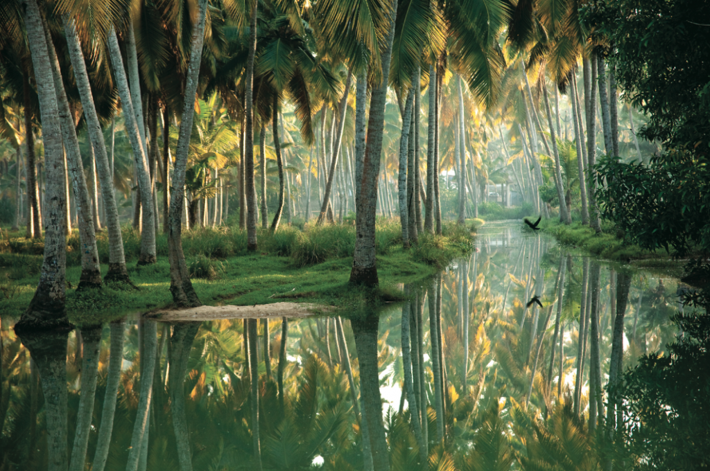 kerala in december