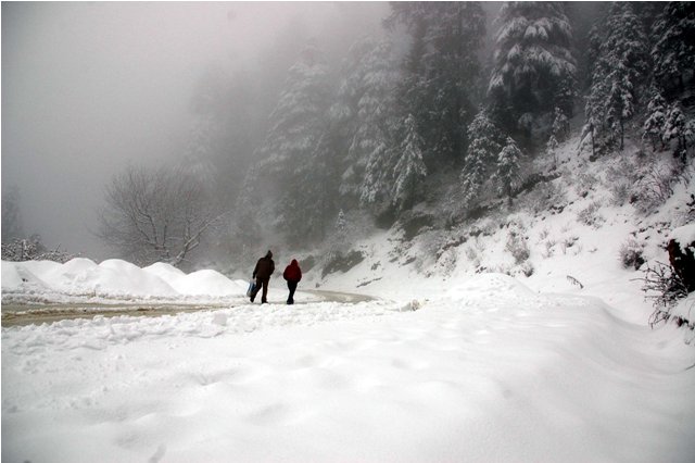 manali in december