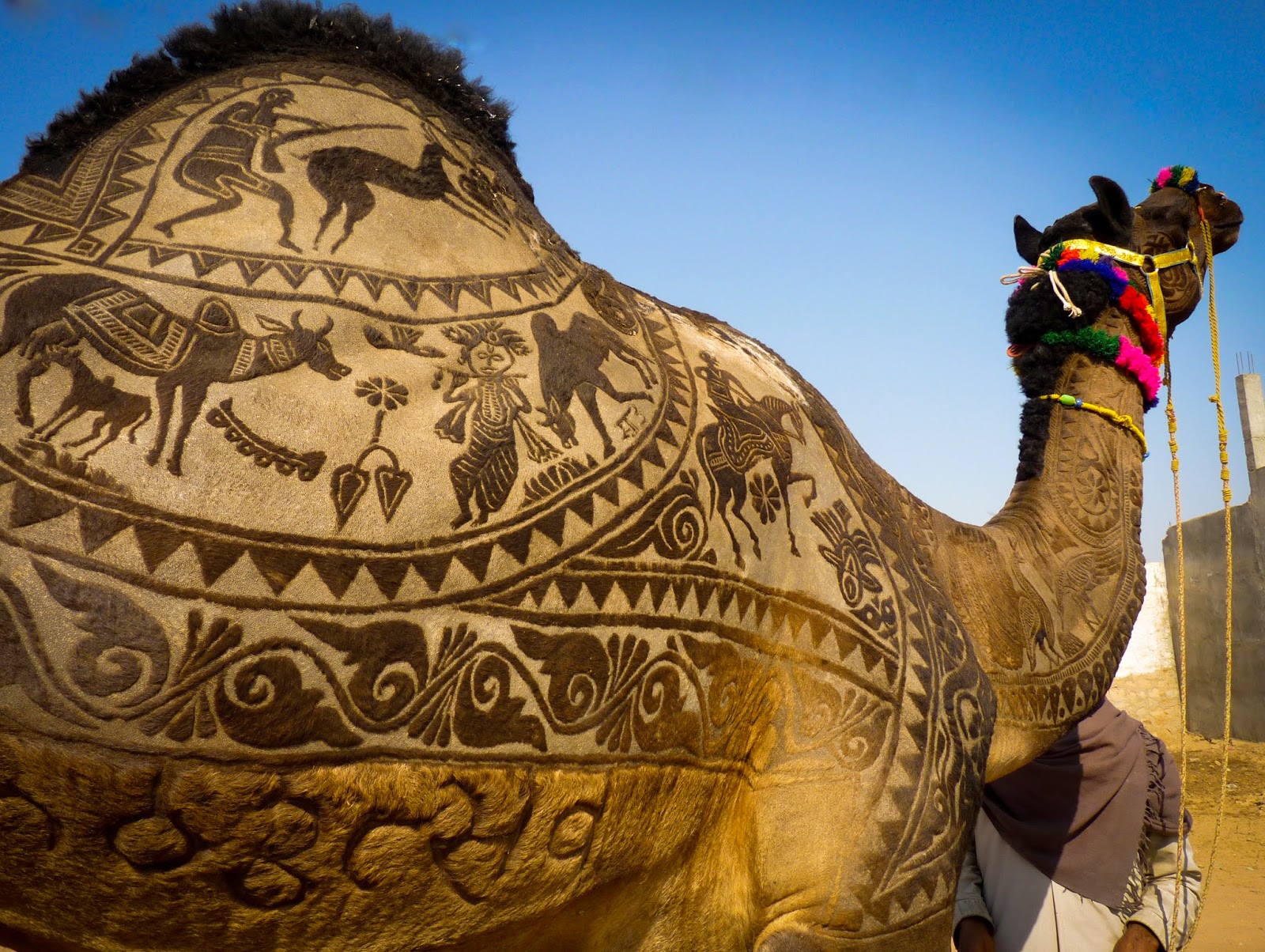 origin pushkar camel fair 2017