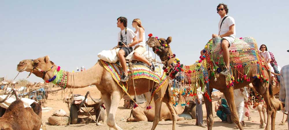 pushkar camel fair 2017 camel safari