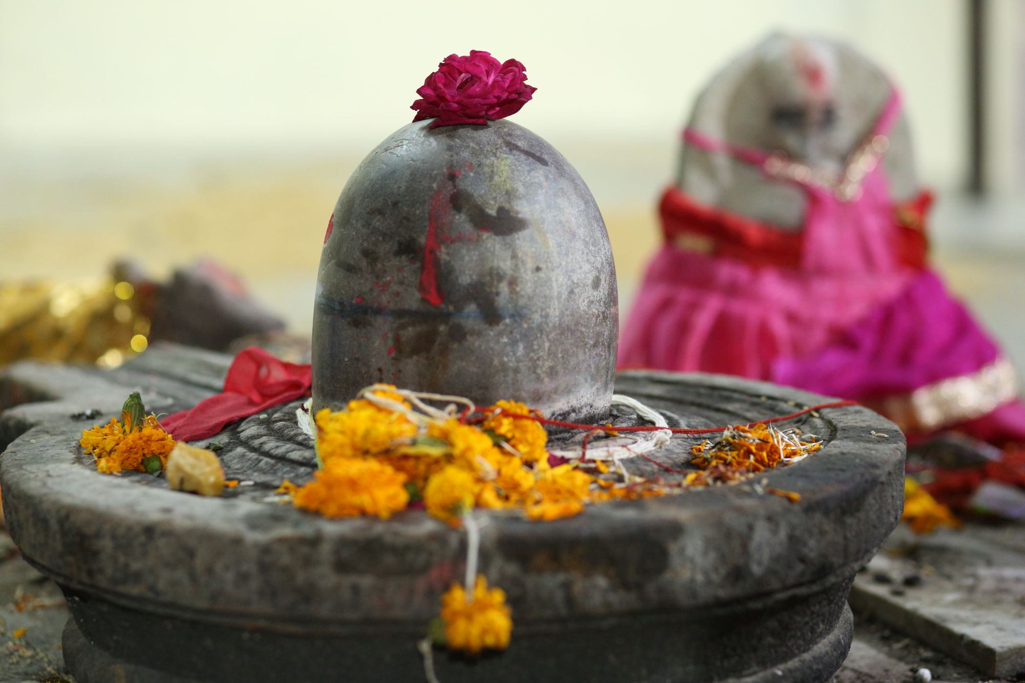 pushkar camel fair 2017 god