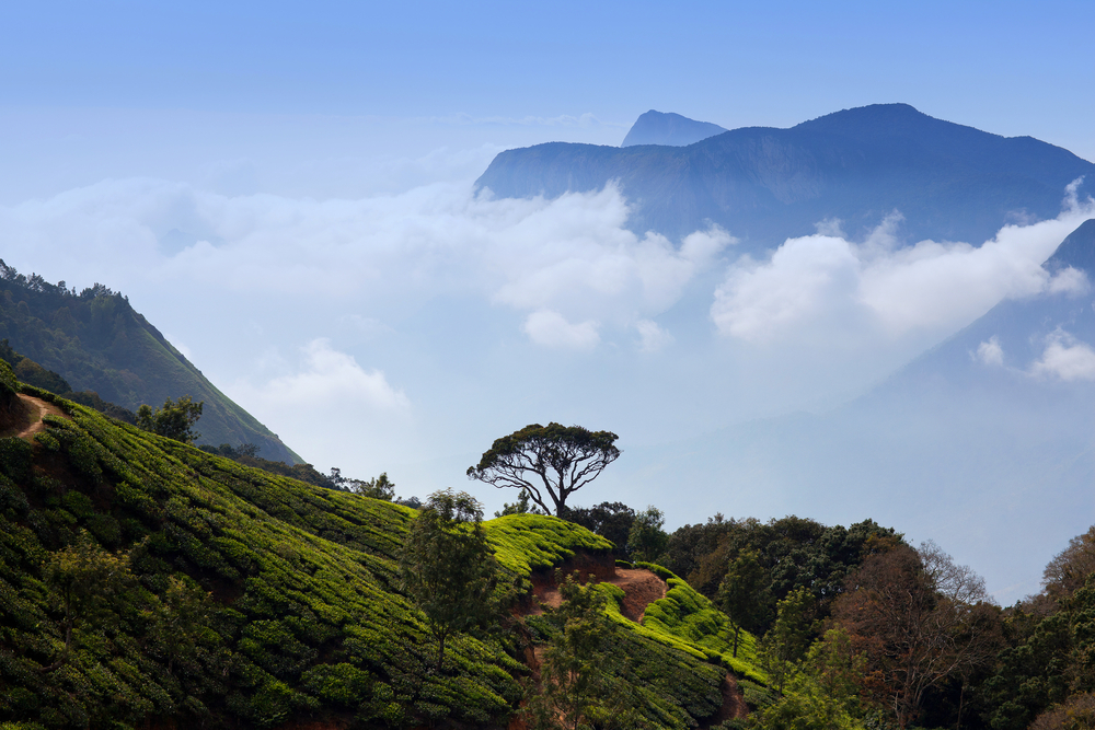 munnar hill station