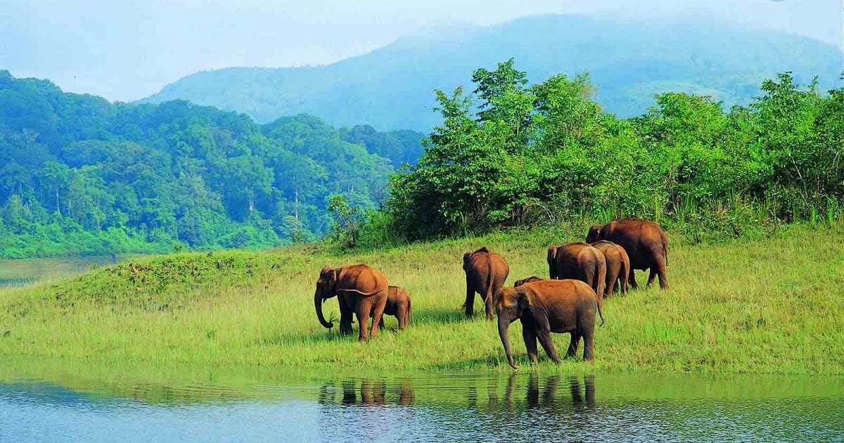 periyar-wildlife-sanctuary