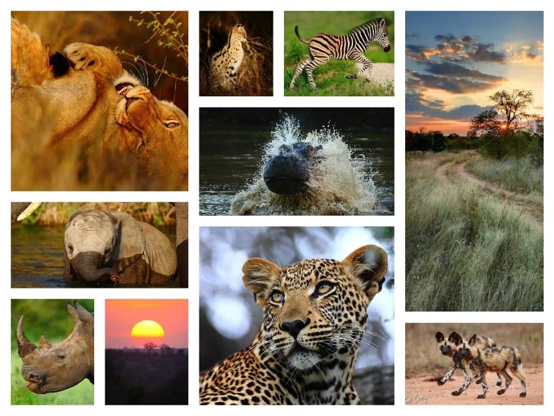 top 10 wildlife sanctuaries
