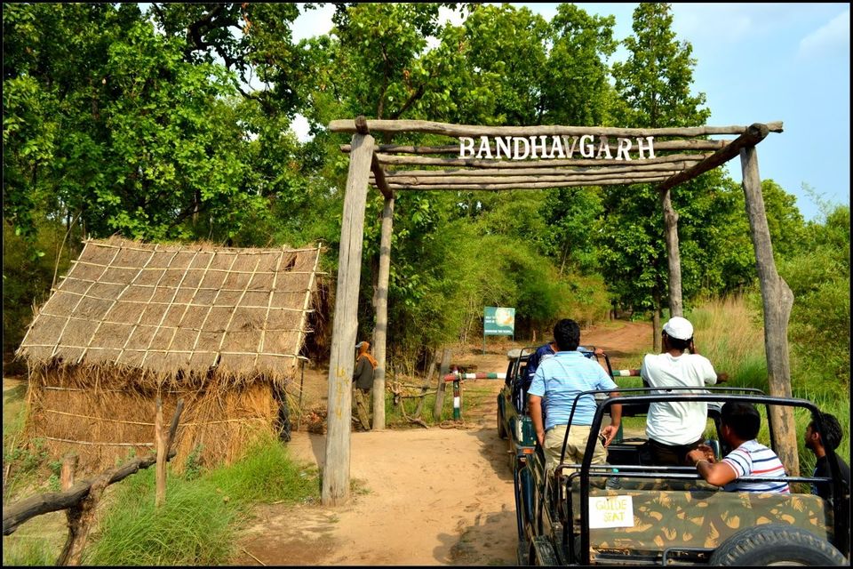 bandhavgarh best places to visit in madhya pradesh2