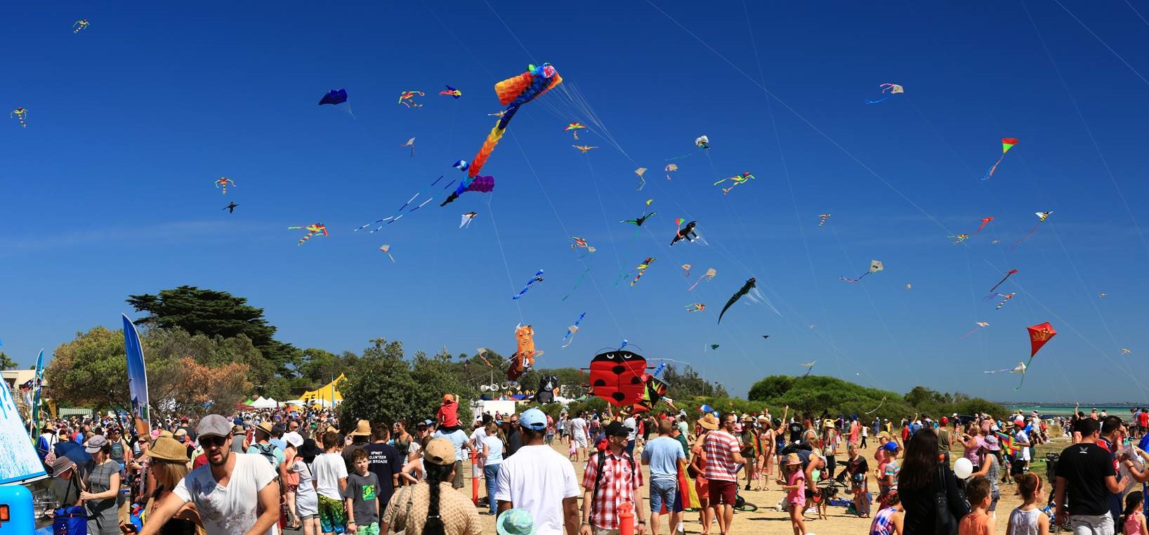 international kite festival gujarat