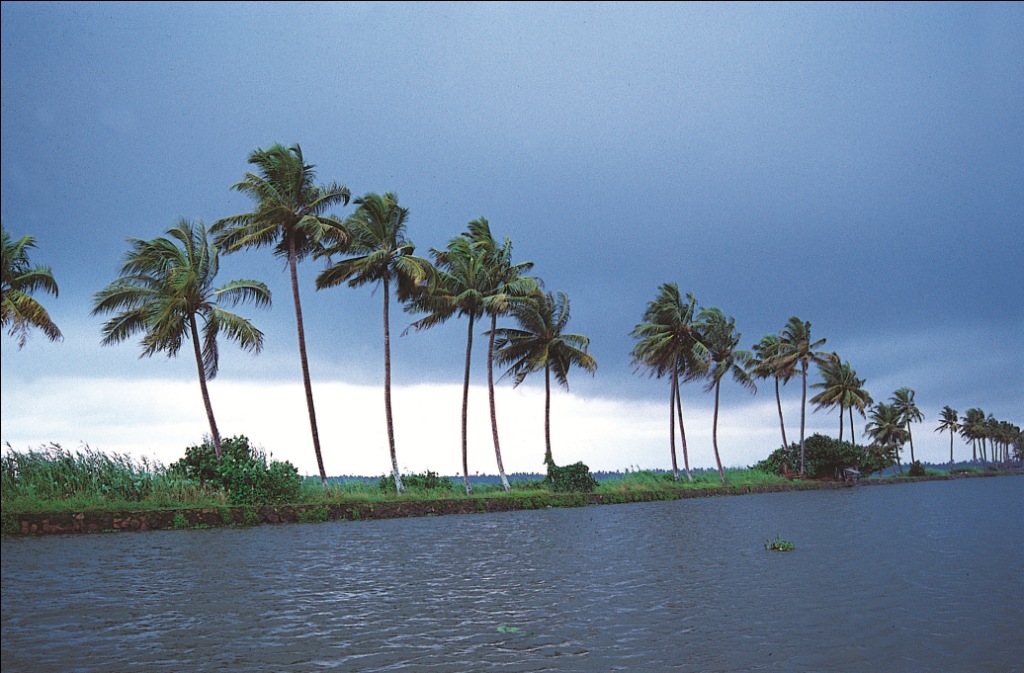 kumarakom backwaters kerala