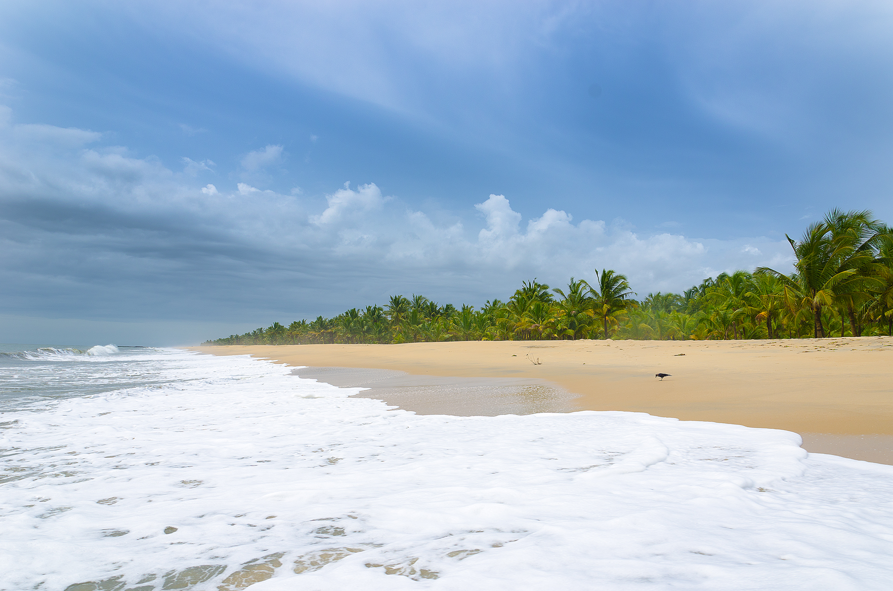 marari beach kerala