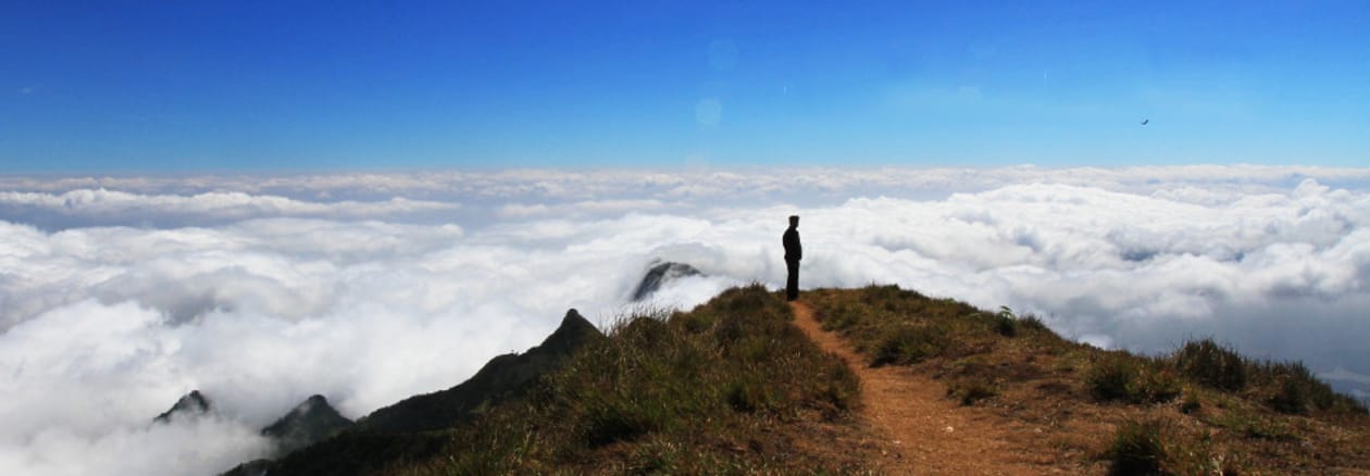 munnar kerala 2