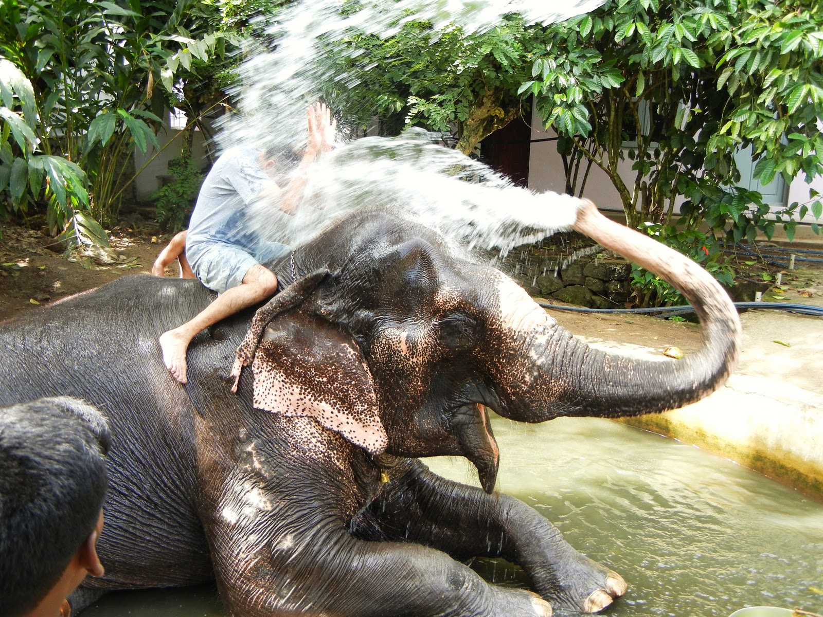 thekkady kerala2