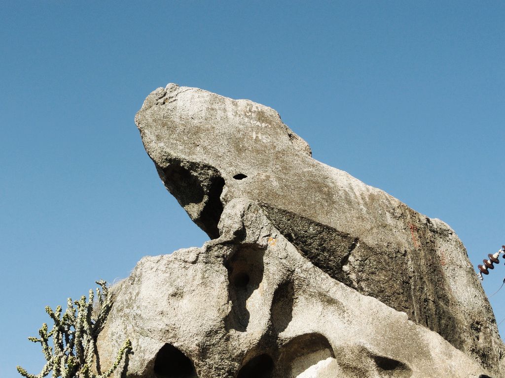 turtle or a toad rock creation at mount abu