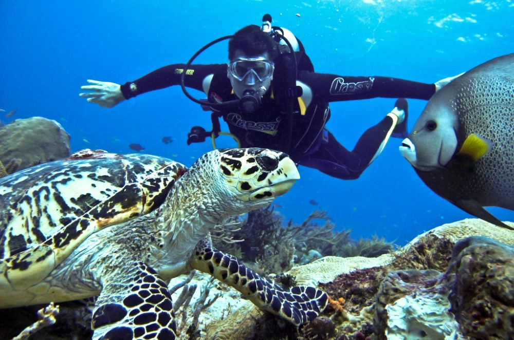 andaman deep sea diving destinations