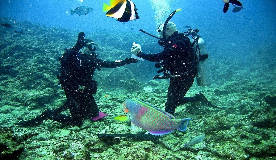 deep sea diving destinations 1