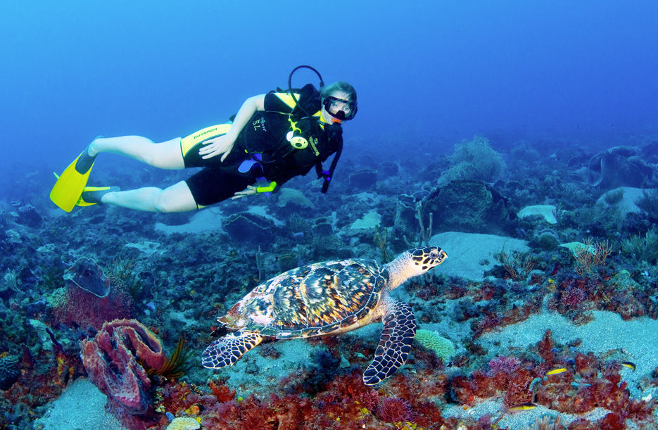 goa deep sea diving destinations