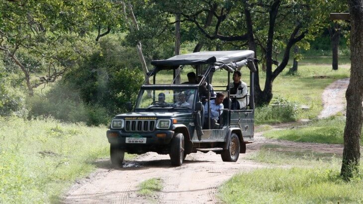 jeep safari in chambal