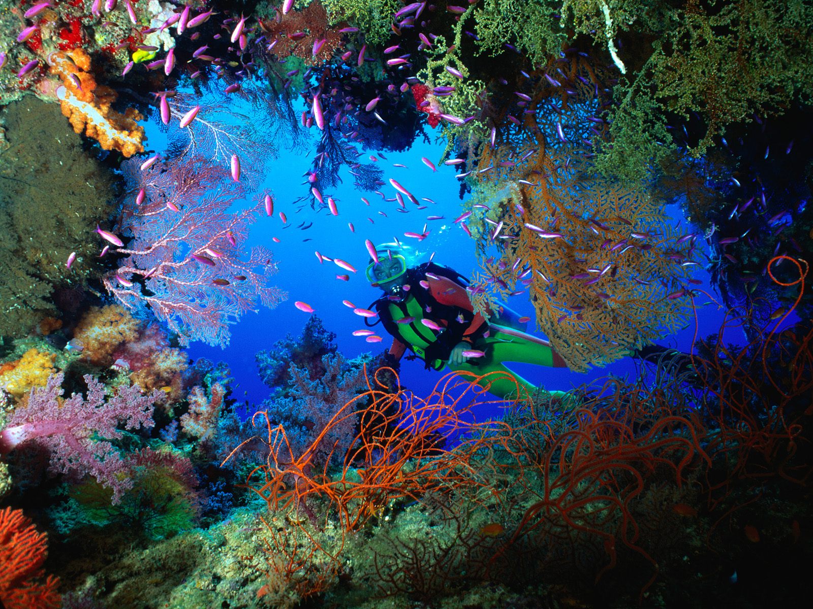 netrani deep sea diving destinations