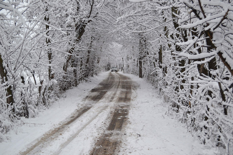 snowfall in jammu and kashmir 1