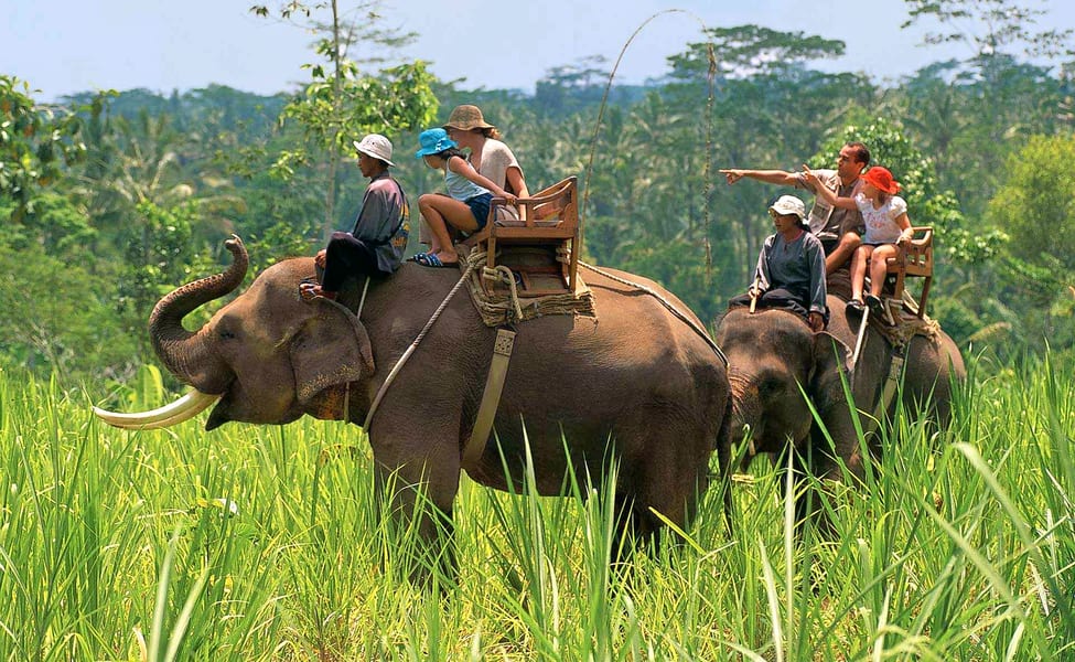 elephant safari jim corbett - fun places to hang out with friends in india