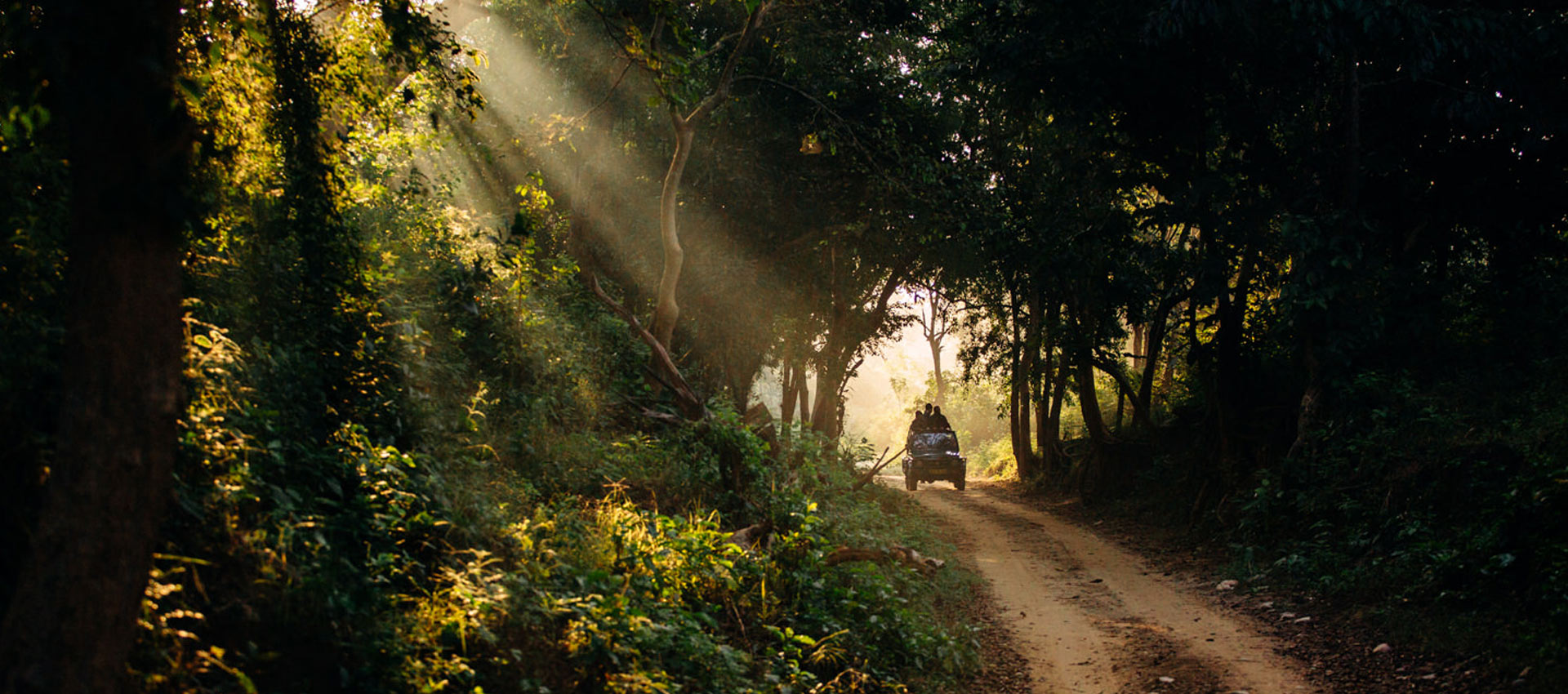 jim corbett - fun places to hang out with friends in india