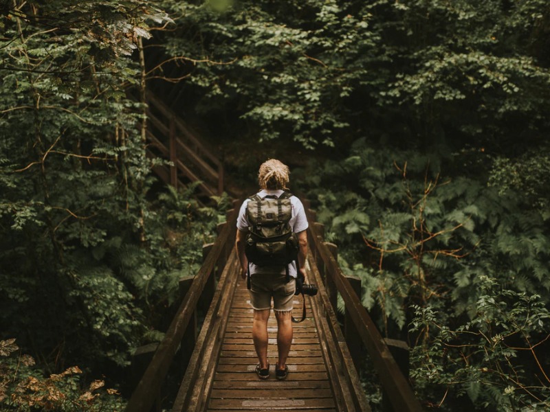 photographer is entering in jungle for wildlife photogram