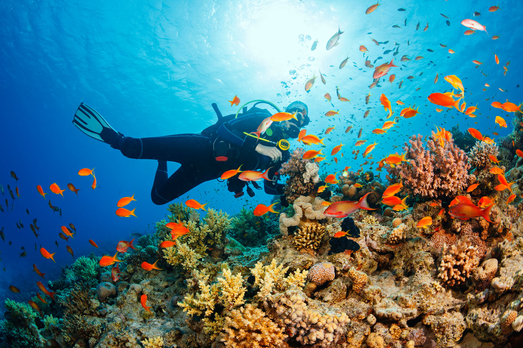 underwater scuba diving in andaman islands - places to visit in india before 30