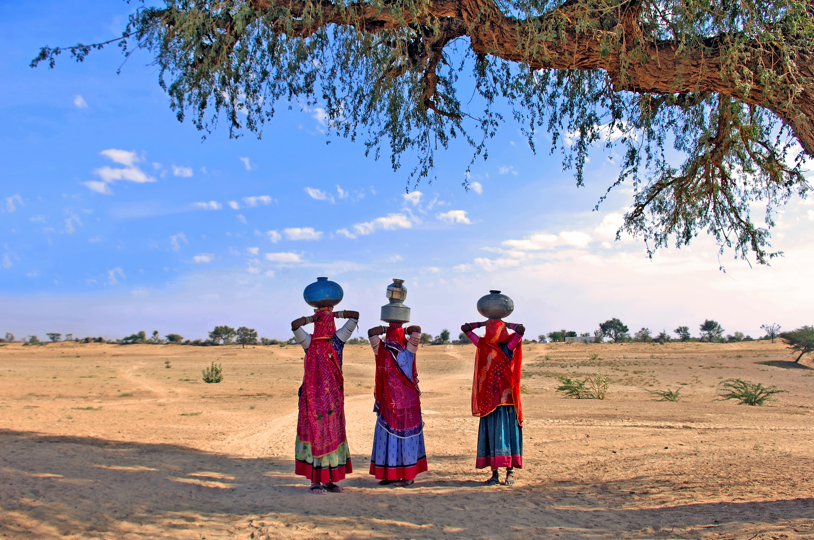 rajasthani village women fetching water from the sparse wells within rajasthan - desert cities