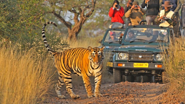 Ranthambore National park