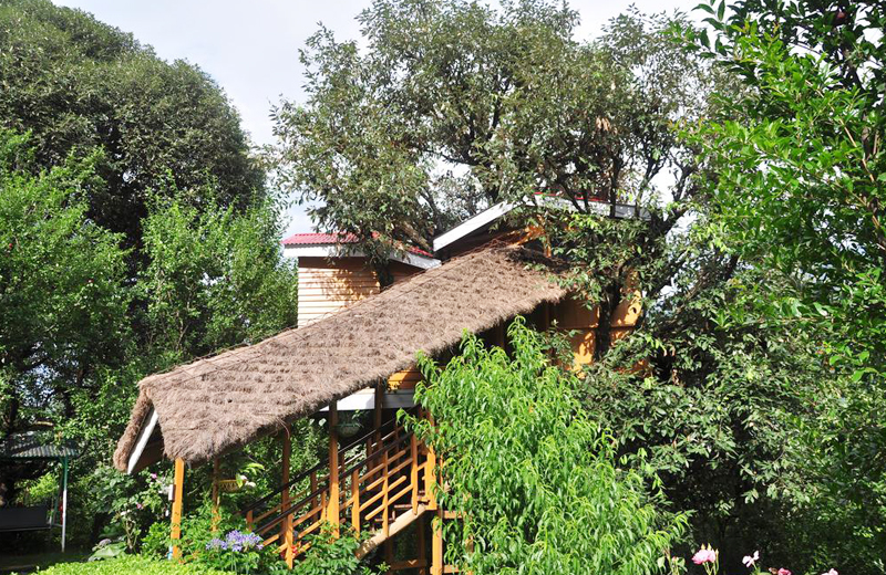 Manali Treehouse Cottages by Travelsite India