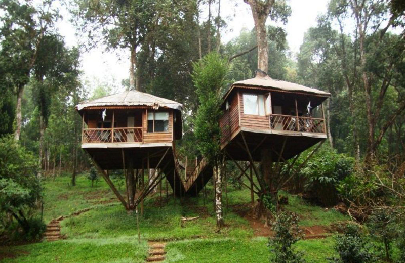 Nature Zone Jungle Resort by Travelsite india