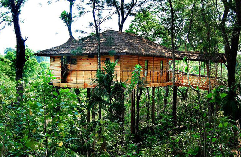 Tranquil Resort -wayanad-by Travelsite India