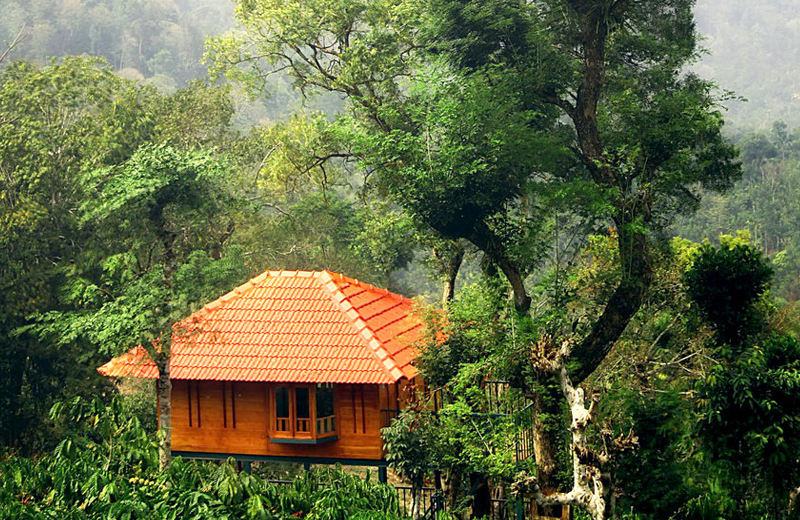 marmalade springs resort - wayanad by Travelsite India