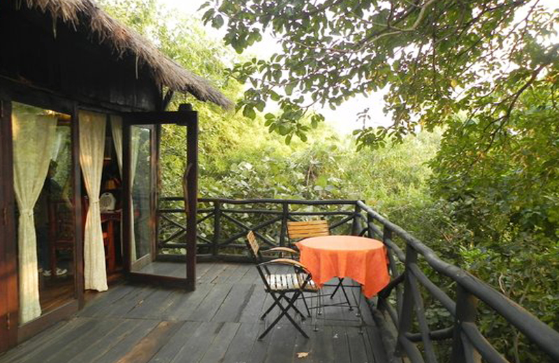 tree house by travelsite india