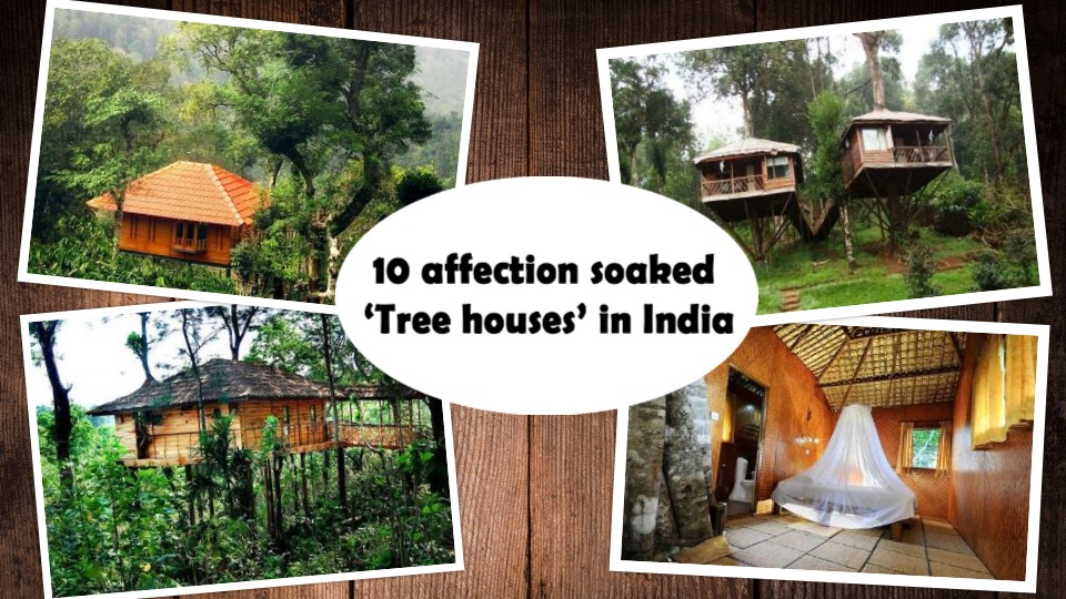 tree houses in india