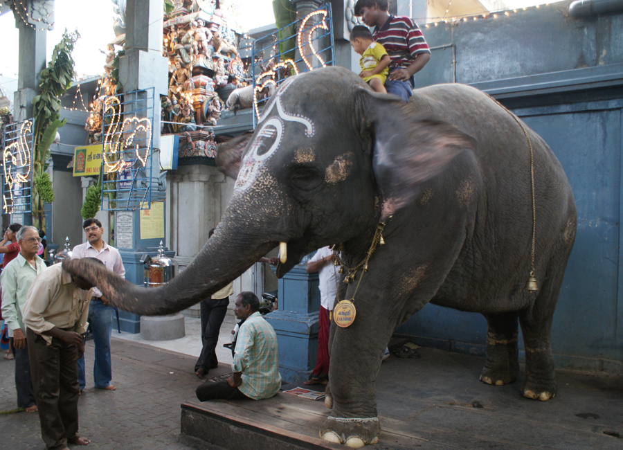 Manakula Vinayagar Temple by Travelsite India