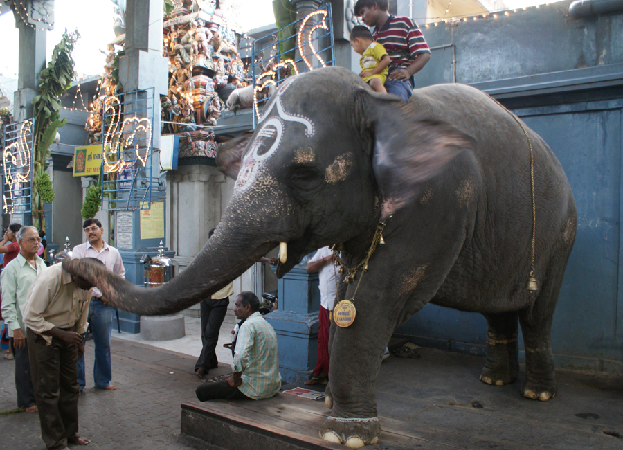 Manakula Vinayagar Temple by Travelsite India