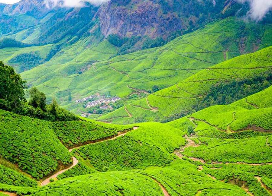 kolukkumalai-tea-munnar by Travelsite India