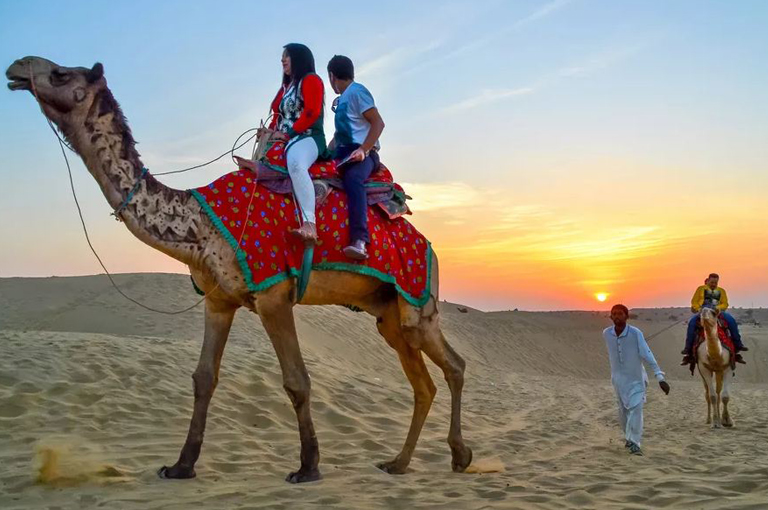 camel safari by travelsite india