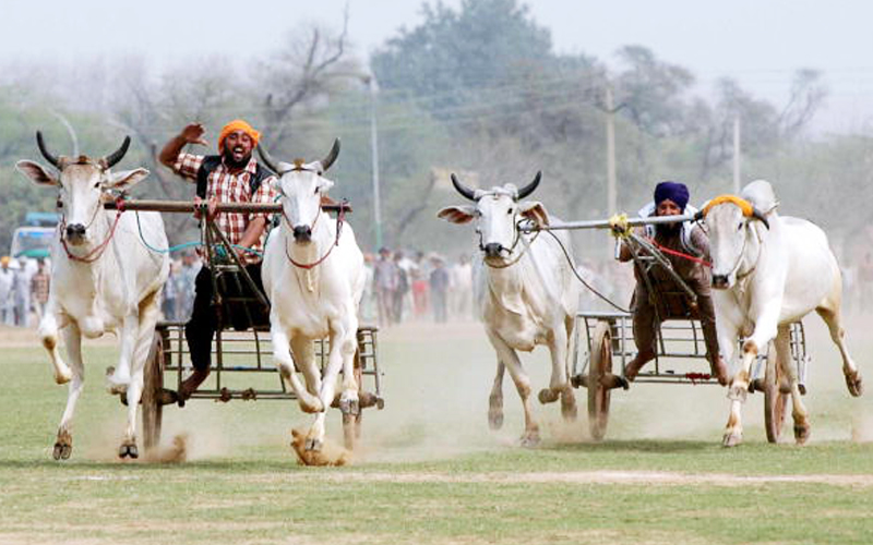 Kila Raipur 