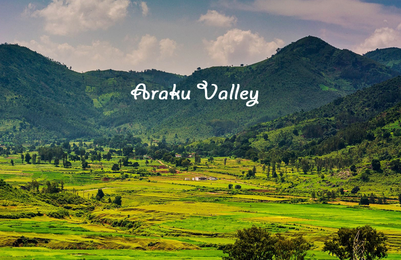 Araku Valley by travelsite india