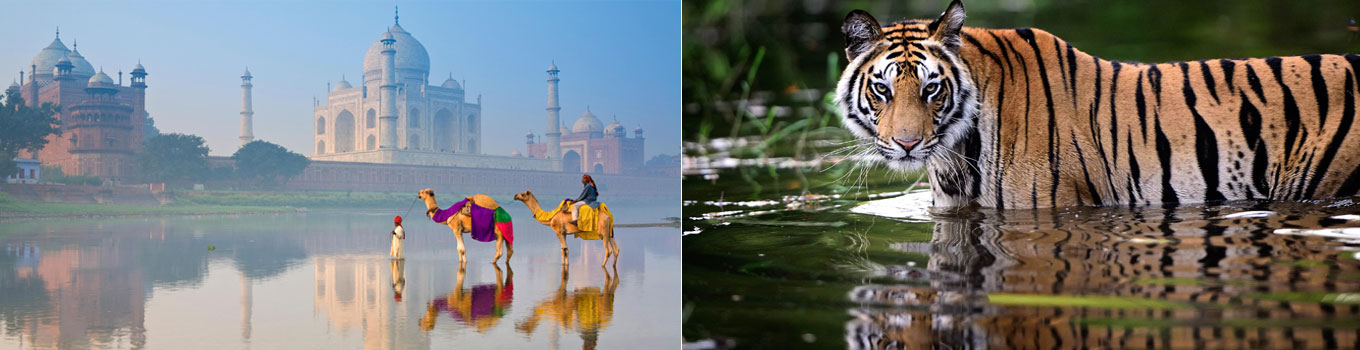 Golden Triangle Tour With Central India