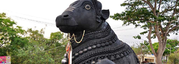 bull temple bangalore