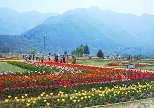 Splendid Kashmir Tour
