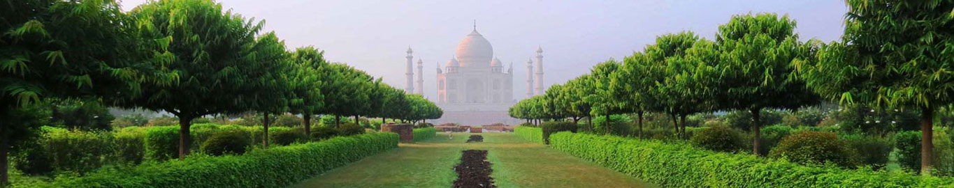 Same Day Agra Tour by Car