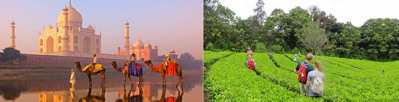 Golden Triangle with Bollywood & Backwater Tour