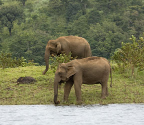 weekend getaways from delhi