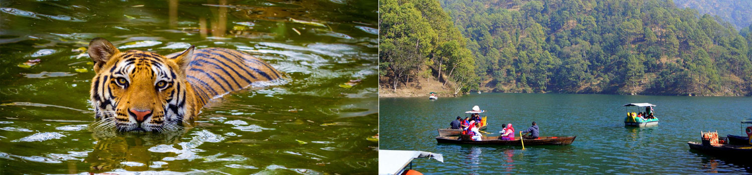 Jim Corbett with Nainital Tour