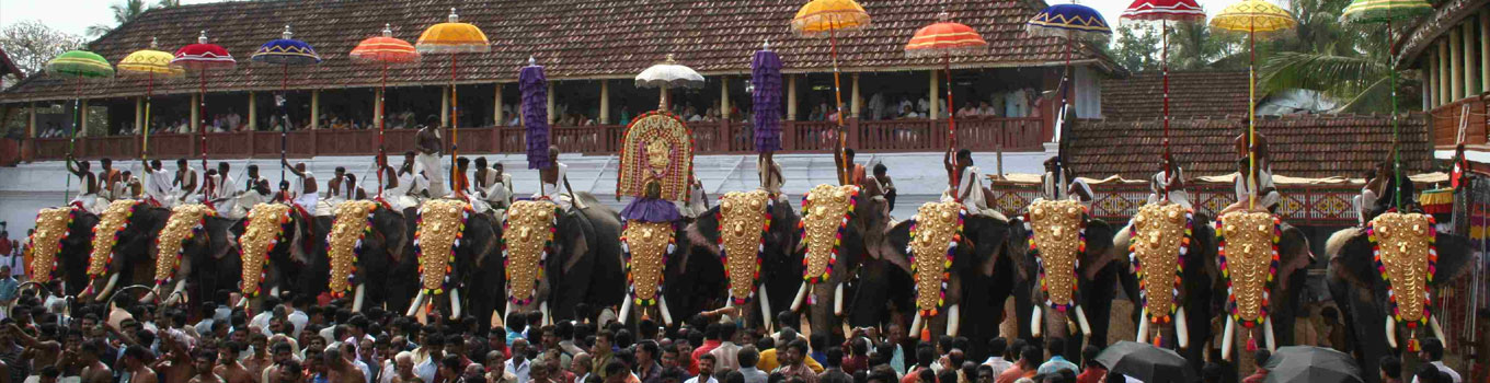 Kerala Elephant Festival Tou