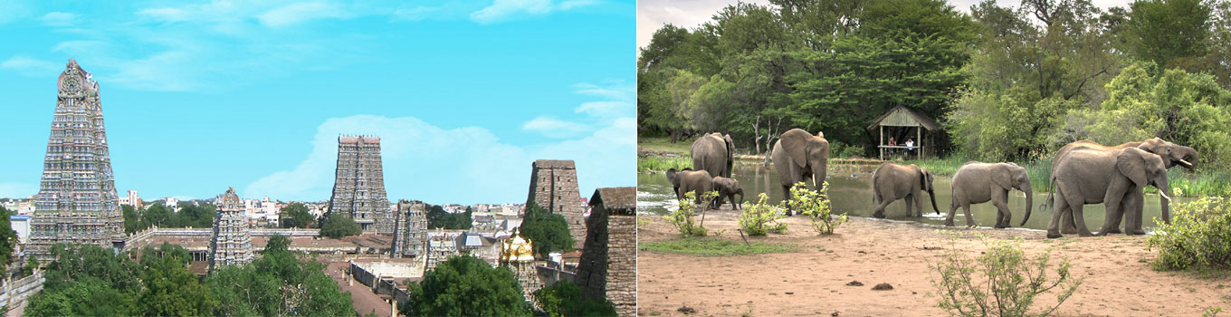 South India Heritage and Wildlife Tour
