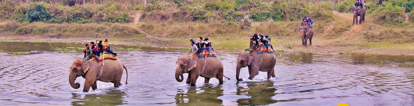 Golden Triangle and Nepal Wildlife Tour