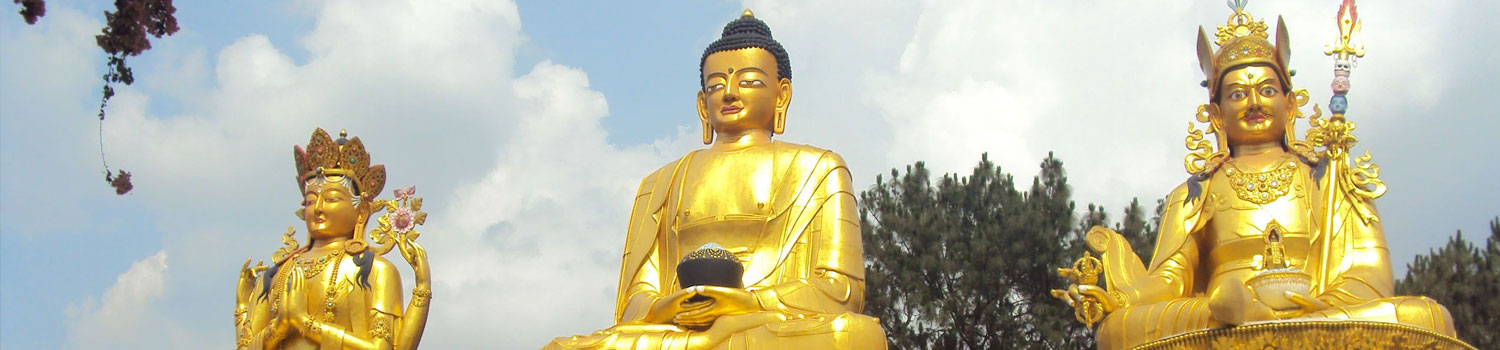 Golden Triangle with Buddhist Tour